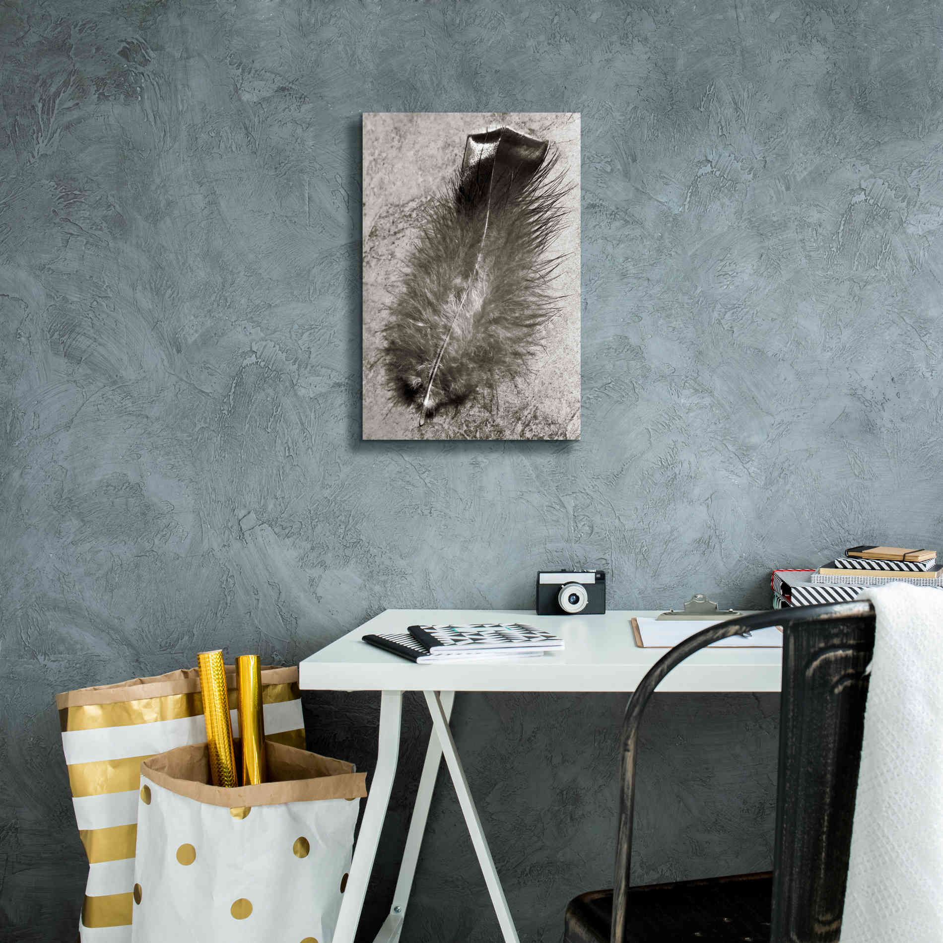 'Feather Shadow IV' by Debra Van Swearingen, Canvas Wall Art,12 x 18