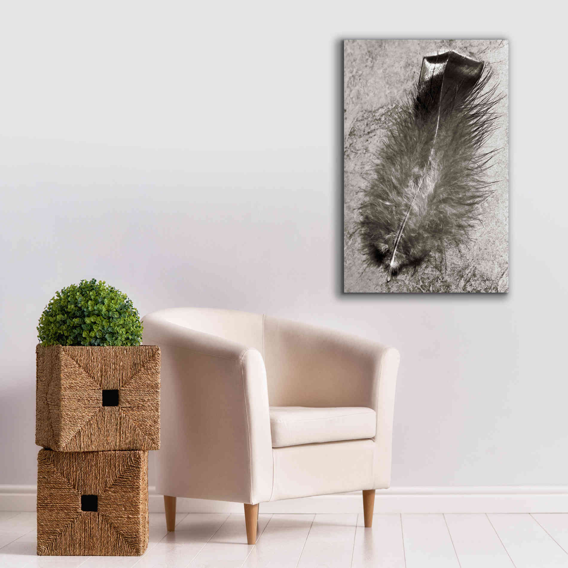 'Feather Shadow IV' by Debra Van Swearingen, Canvas Wall Art,26 x 40