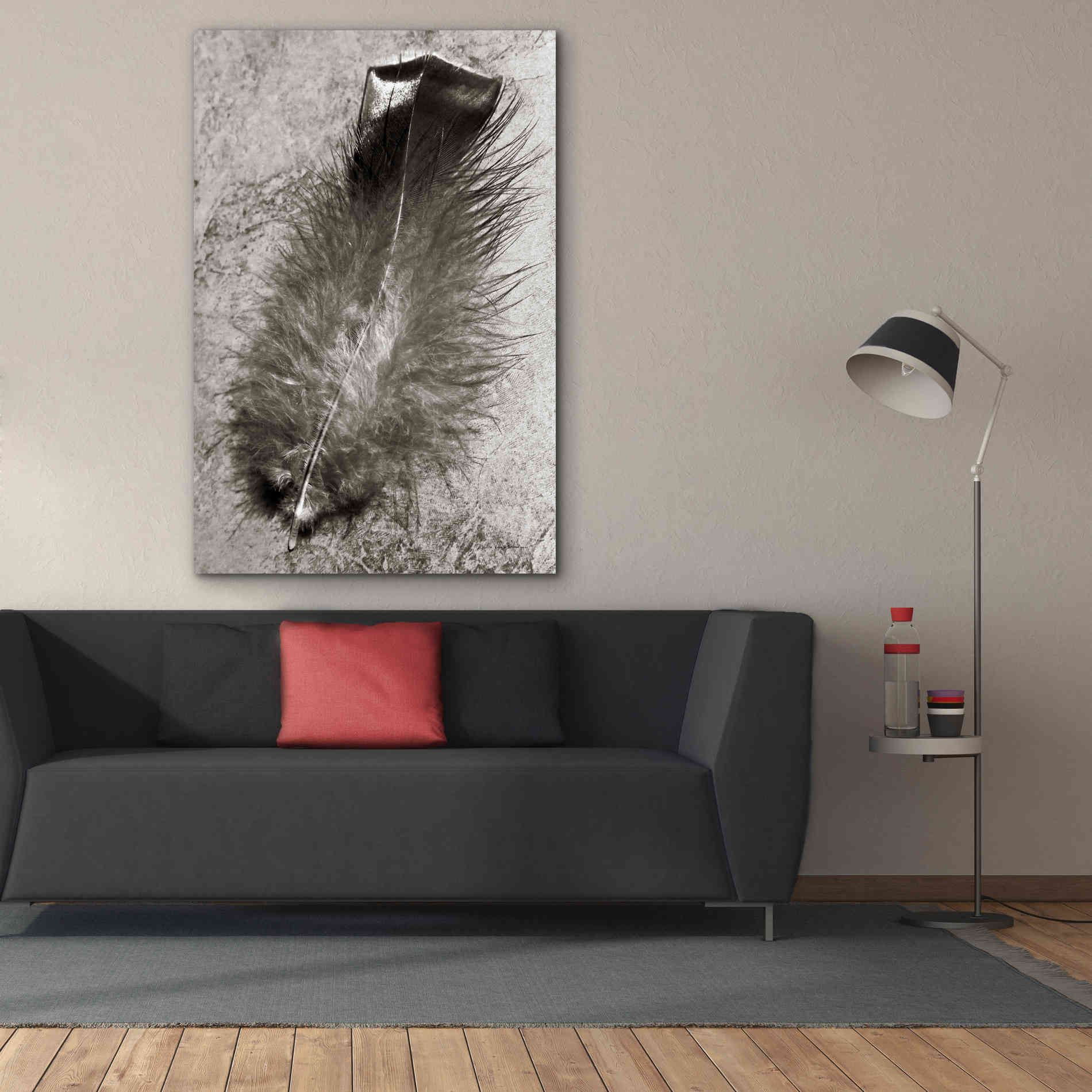 'Feather Shadow IV' by Debra Van Swearingen, Canvas Wall Art,40 x 60