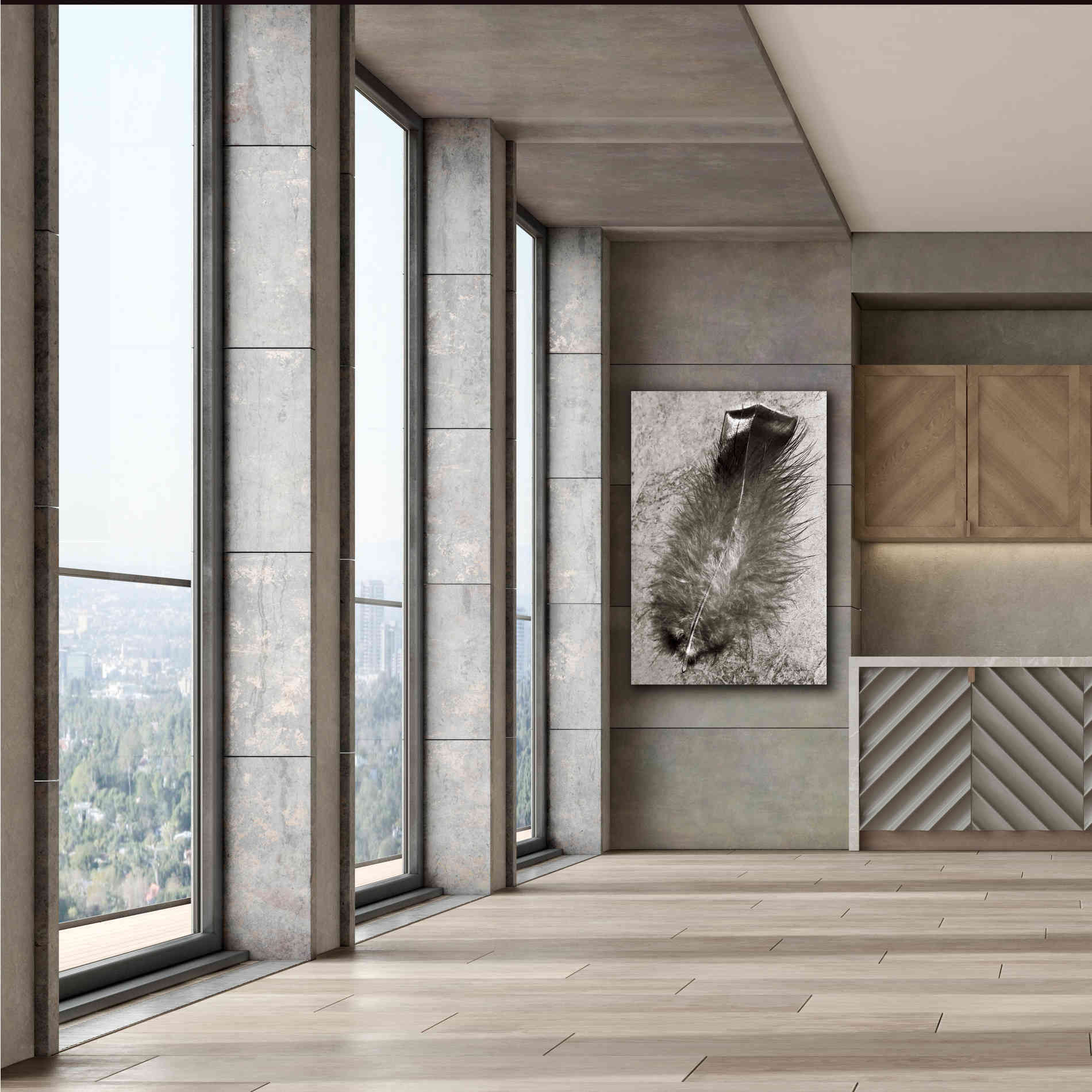 'Feather Shadow IV' by Debra Van Swearingen, Canvas Wall Art,40 x 60