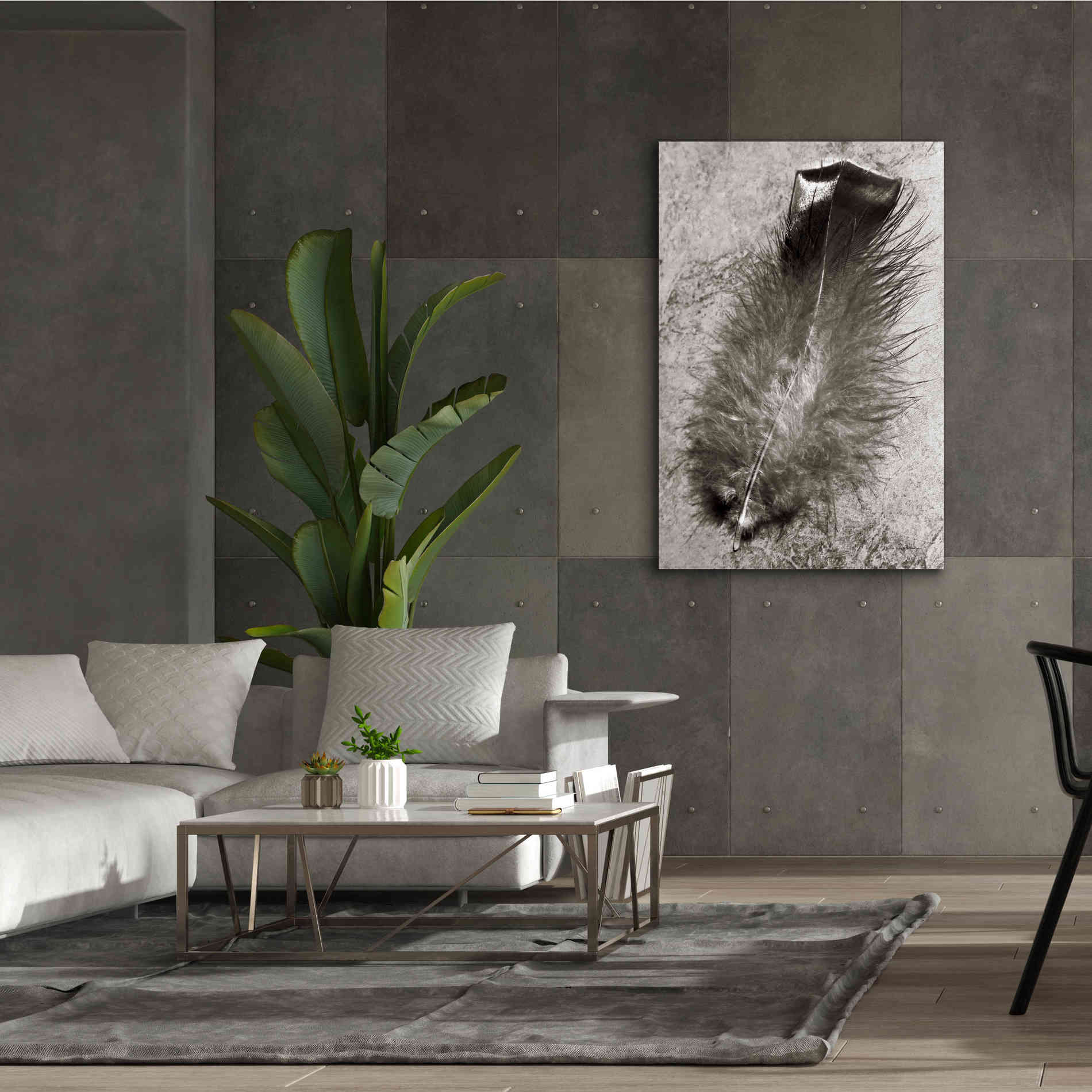 'Feather Shadow IV' by Debra Van Swearingen, Canvas Wall Art,40 x 60