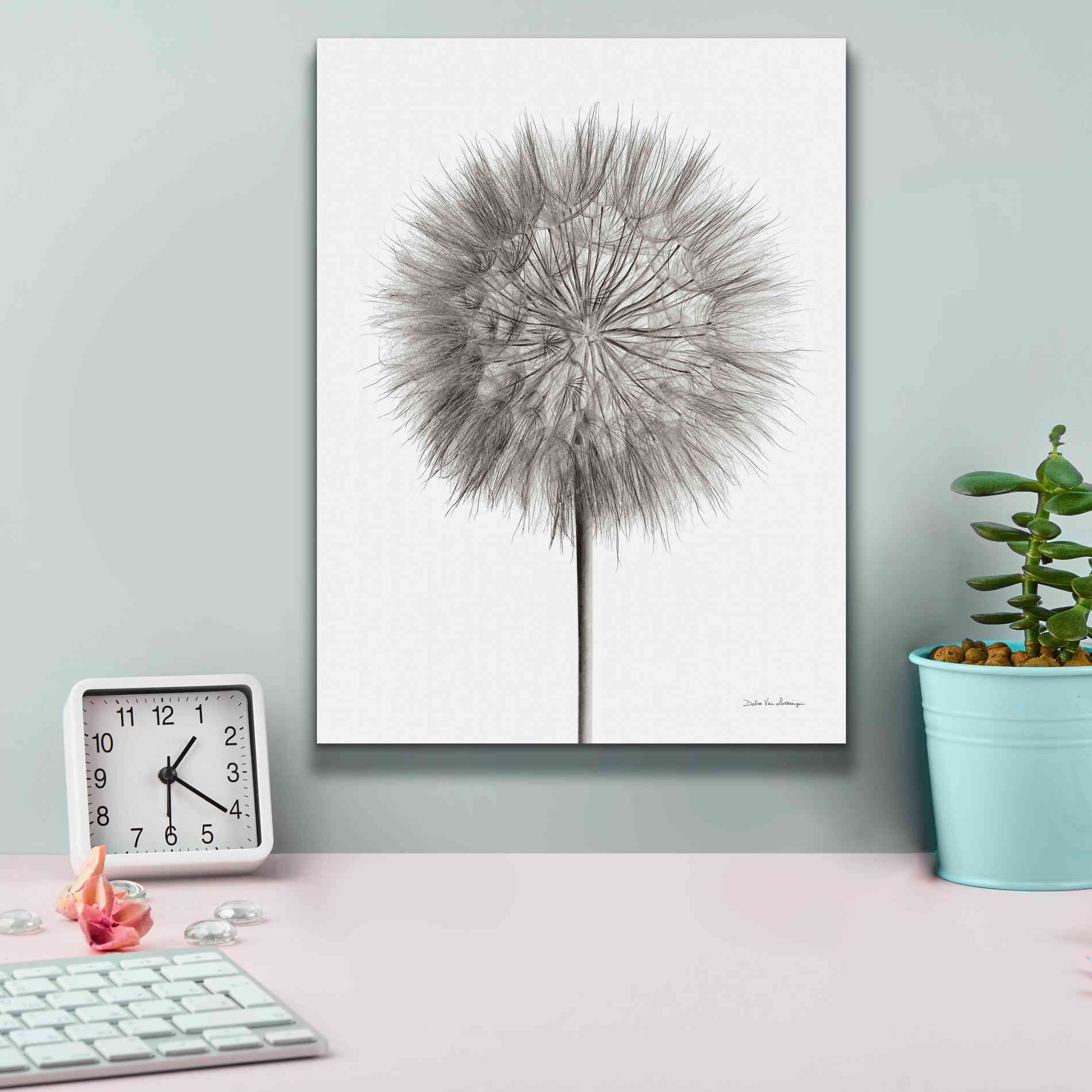 'Dandelion Fluff on White' by Debra Van Swearingen, Canvas Wall Art,12 x 16