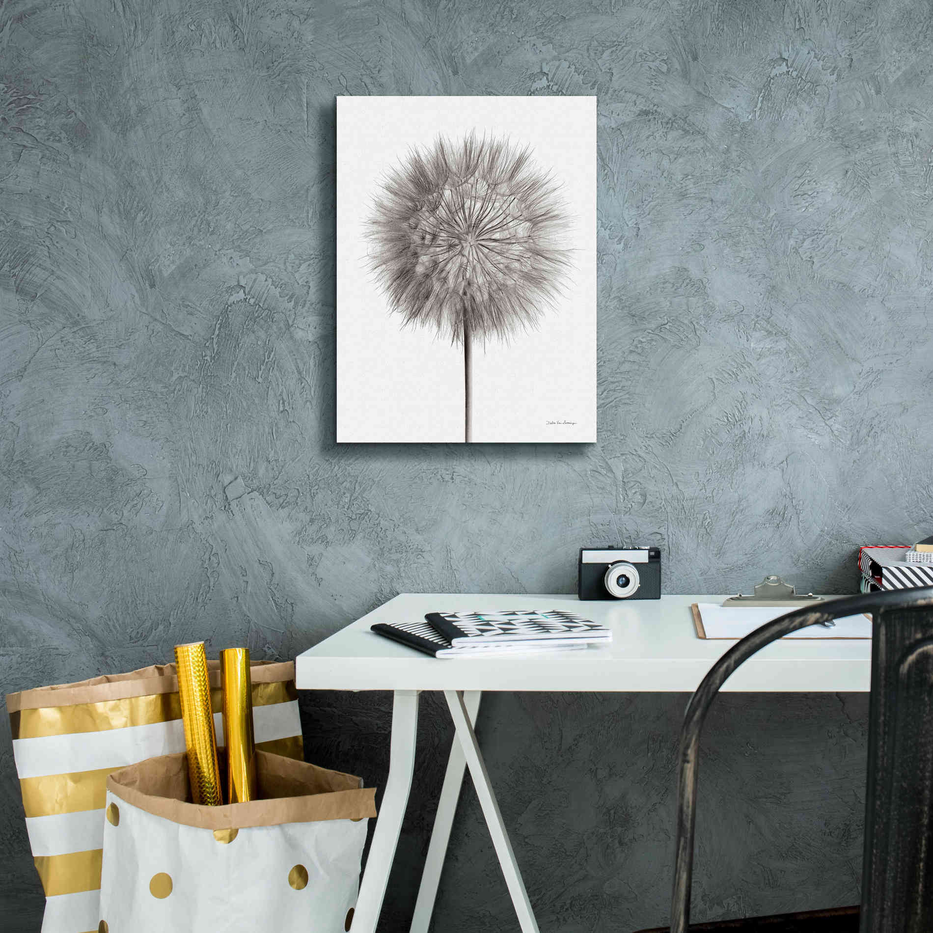 'Dandelion Fluff on White' by Debra Van Swearingen, Canvas Wall Art,12 x 16