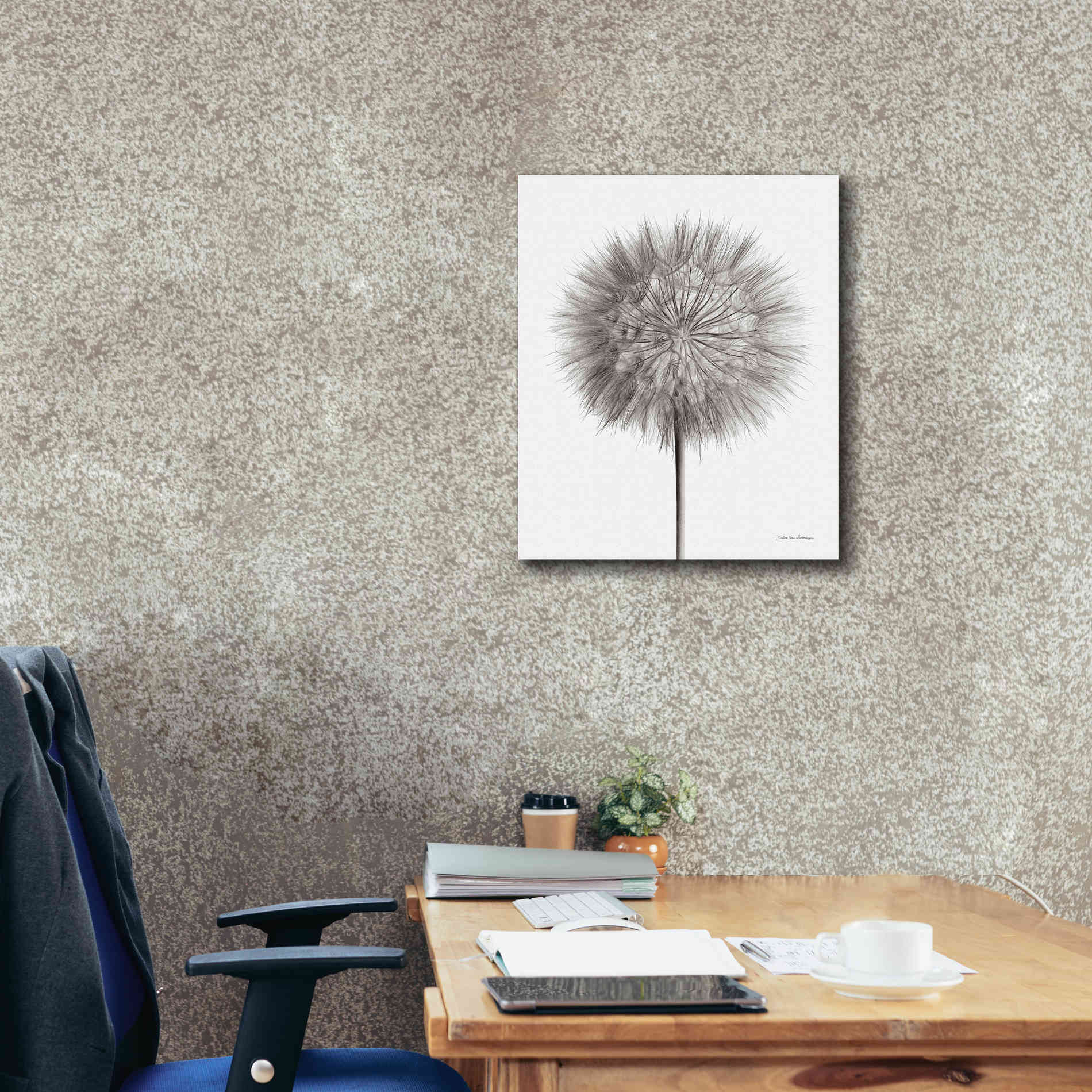 'Dandelion Fluff on White' by Debra Van Swearingen, Canvas Wall Art,20 x 24