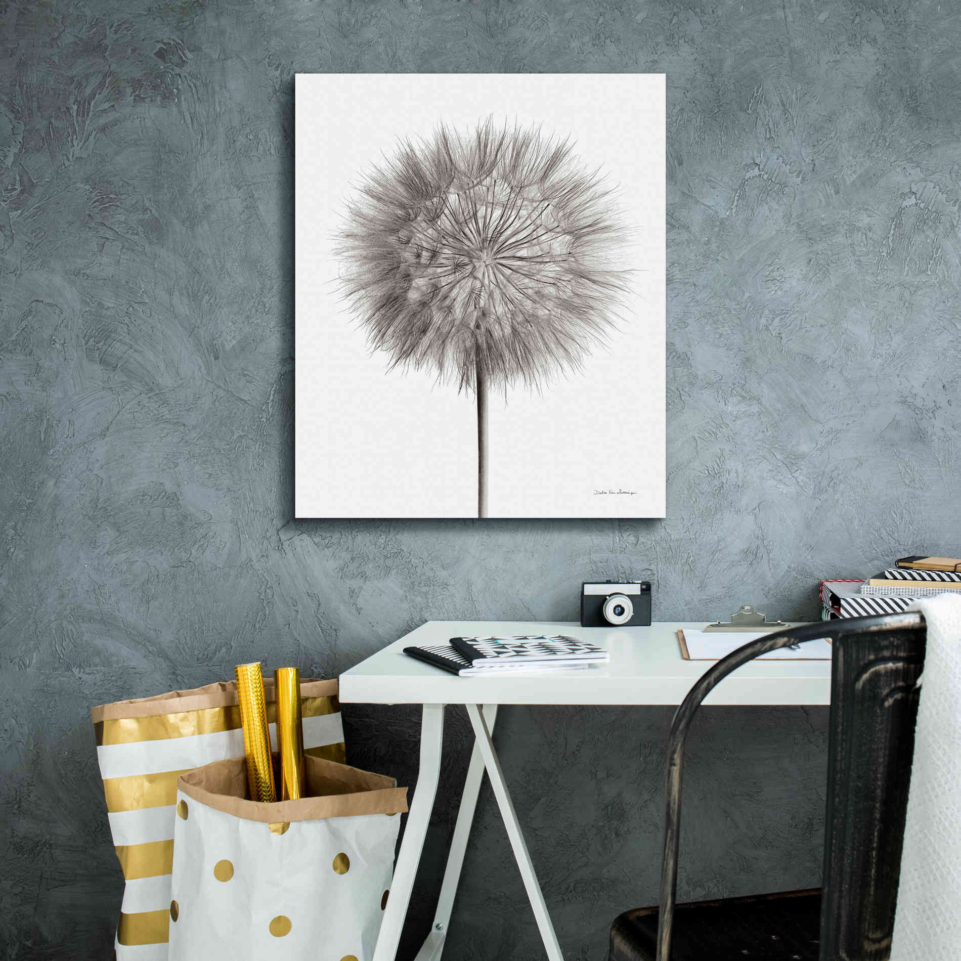 'Dandelion Fluff on White' by Debra Van Swearingen, Canvas Wall Art,20 x 24