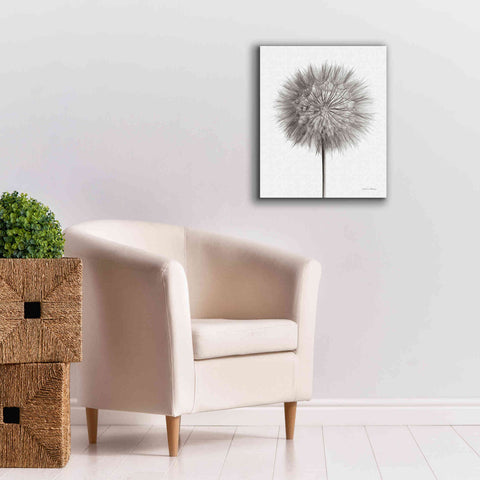Image of 'Dandelion Fluff on White' by Debra Van Swearingen, Canvas Wall Art,20 x 24