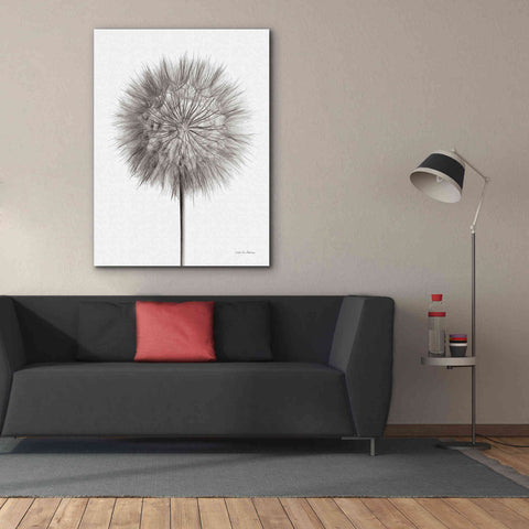 Image of 'Dandelion Fluff on White' by Debra Van Swearingen, Canvas Wall Art,40 x 54