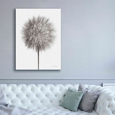 Image of 'Dandelion Fluff on White' by Debra Van Swearingen, Canvas Wall Art,40 x 54