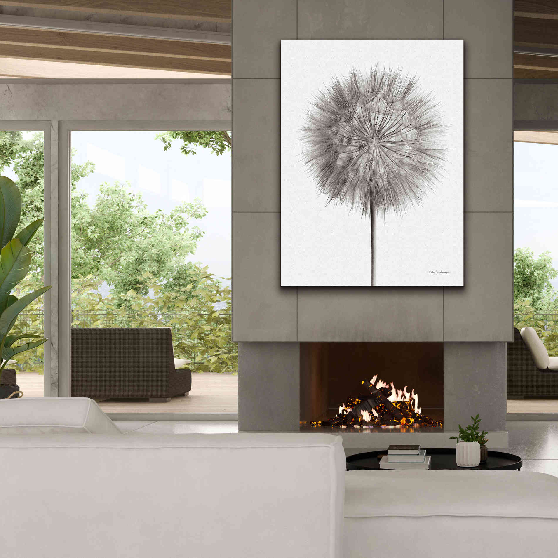 'Dandelion Fluff on White' by Debra Van Swearingen, Canvas Wall Art,40 x 54