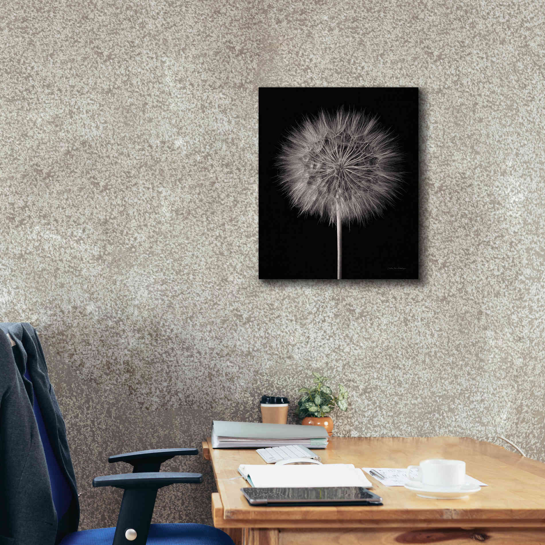 'Dandelion Fluff on Black' by Debra Van Swearingen, Canvas Wall Art,20 x 24