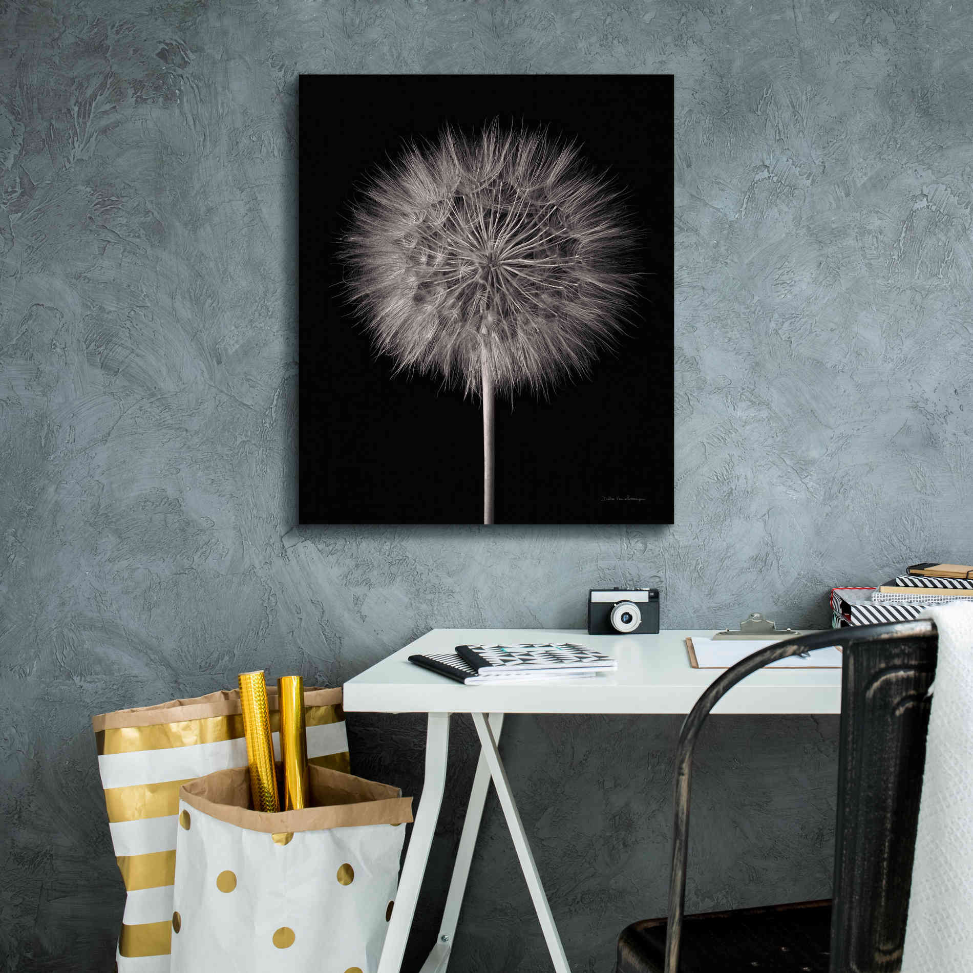 'Dandelion Fluff on Black' by Debra Van Swearingen, Canvas Wall Art,20 x 24