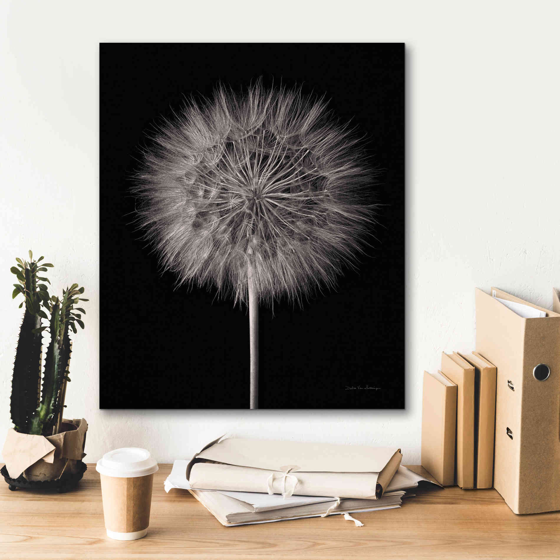 'Dandelion Fluff on Black' by Debra Van Swearingen, Canvas Wall Art,20 x 24