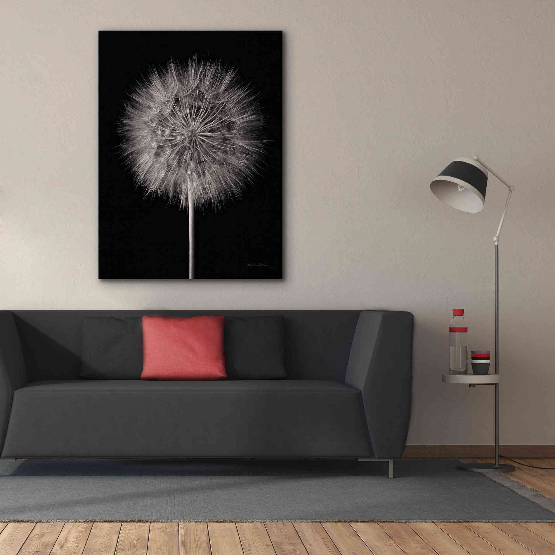 'Dandelion Fluff on Black' by Debra Van Swearingen, Canvas Wall Art,40 x 54