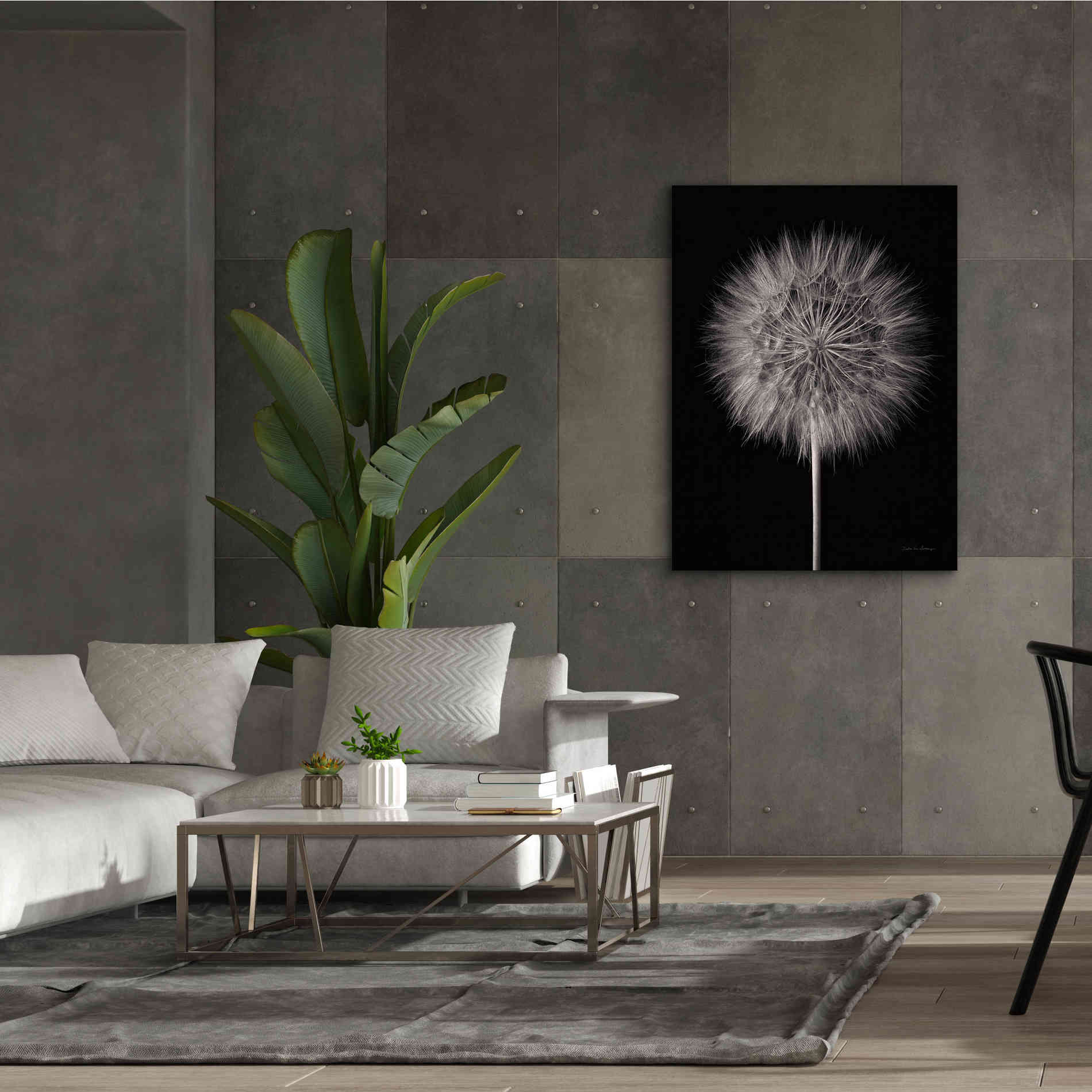 'Dandelion Fluff on Black' by Debra Van Swearingen, Canvas Wall Art,40 x 54