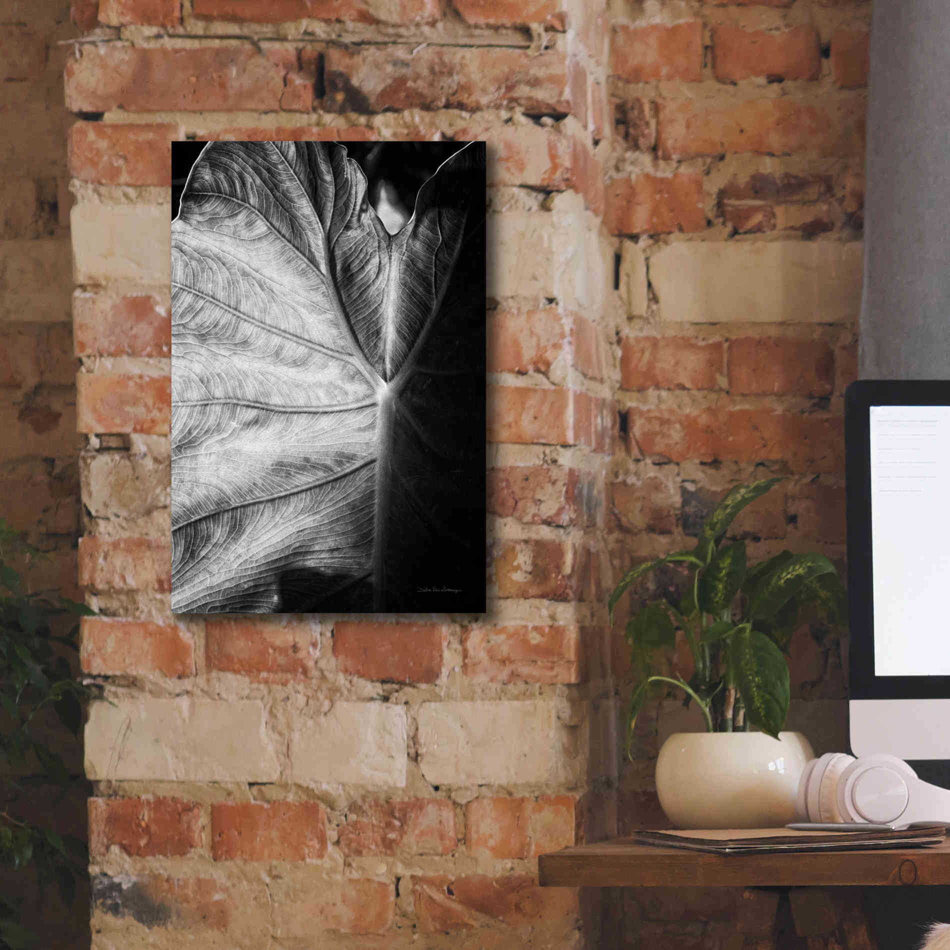 'Elephant Ear I' by Debra Van Swearingen, Canvas Wall Art,12 x 18