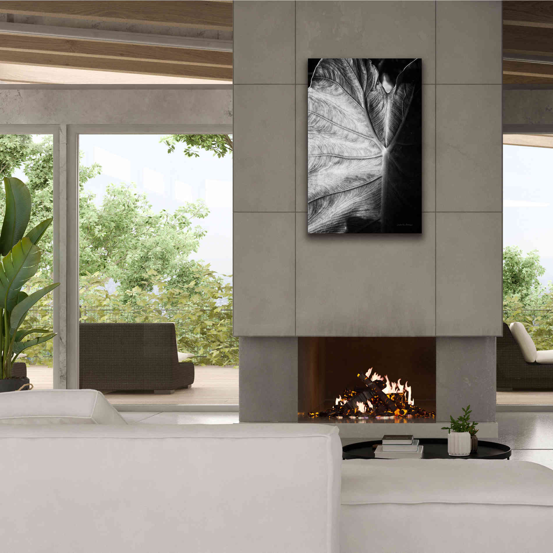 'Elephant Ear I' by Debra Van Swearingen, Canvas Wall Art,26 x 40