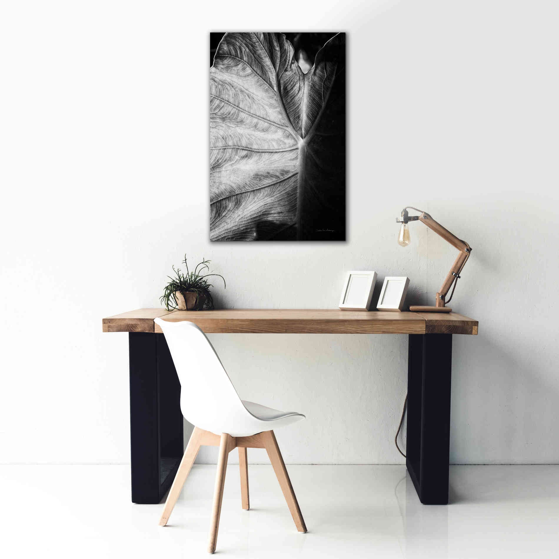 'Elephant Ear I' by Debra Van Swearingen, Canvas Wall Art,26 x 40