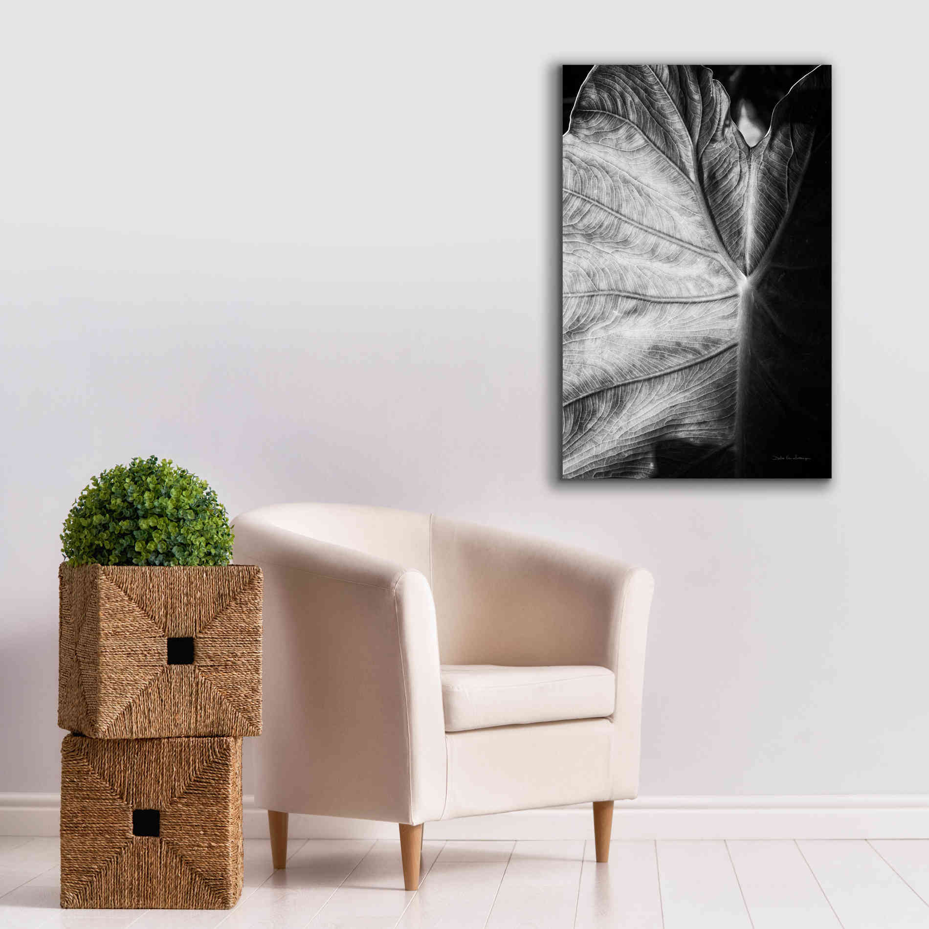 'Elephant Ear I' by Debra Van Swearingen, Canvas Wall Art,26 x 40