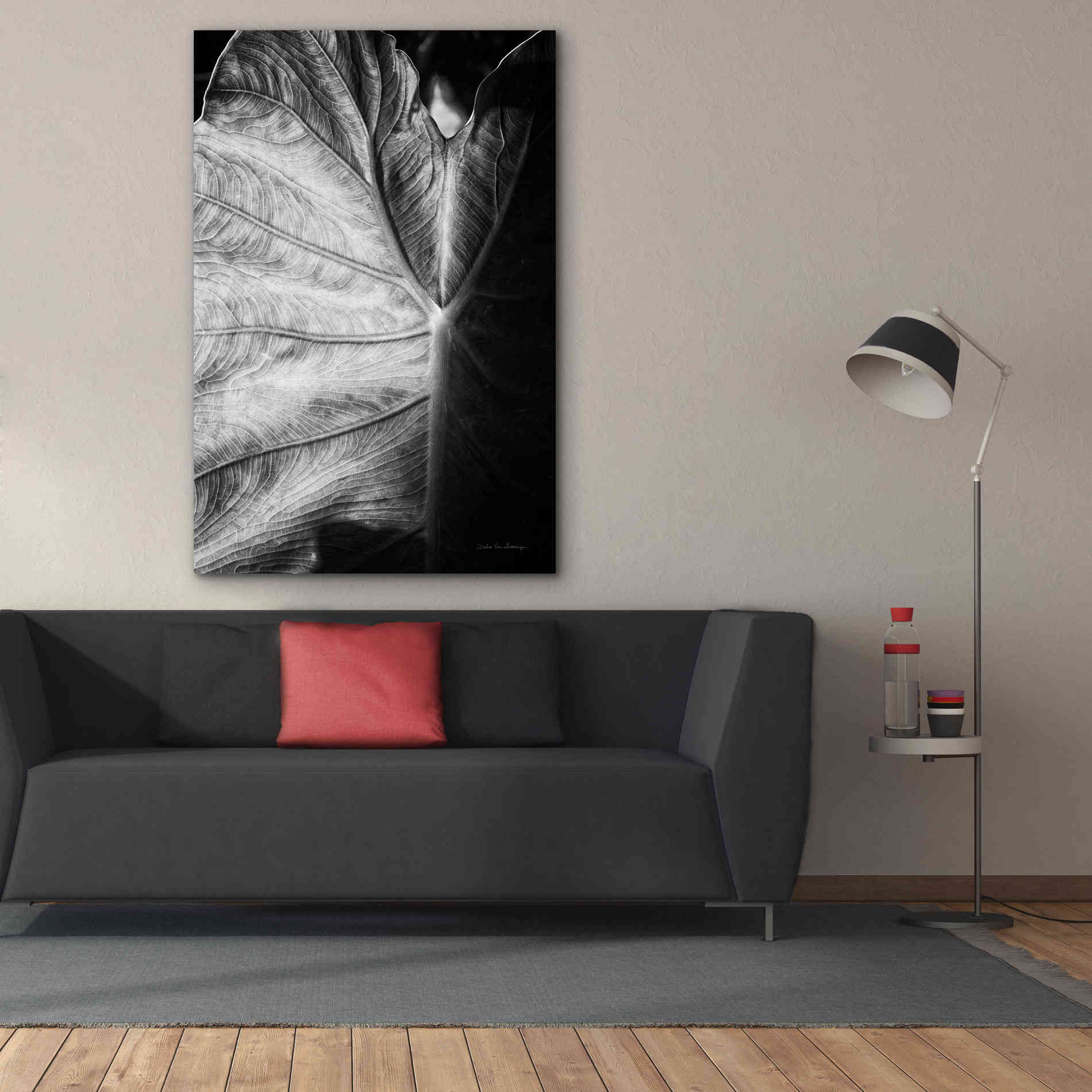 'Elephant Ear I' by Debra Van Swearingen, Canvas Wall Art,40 x 60