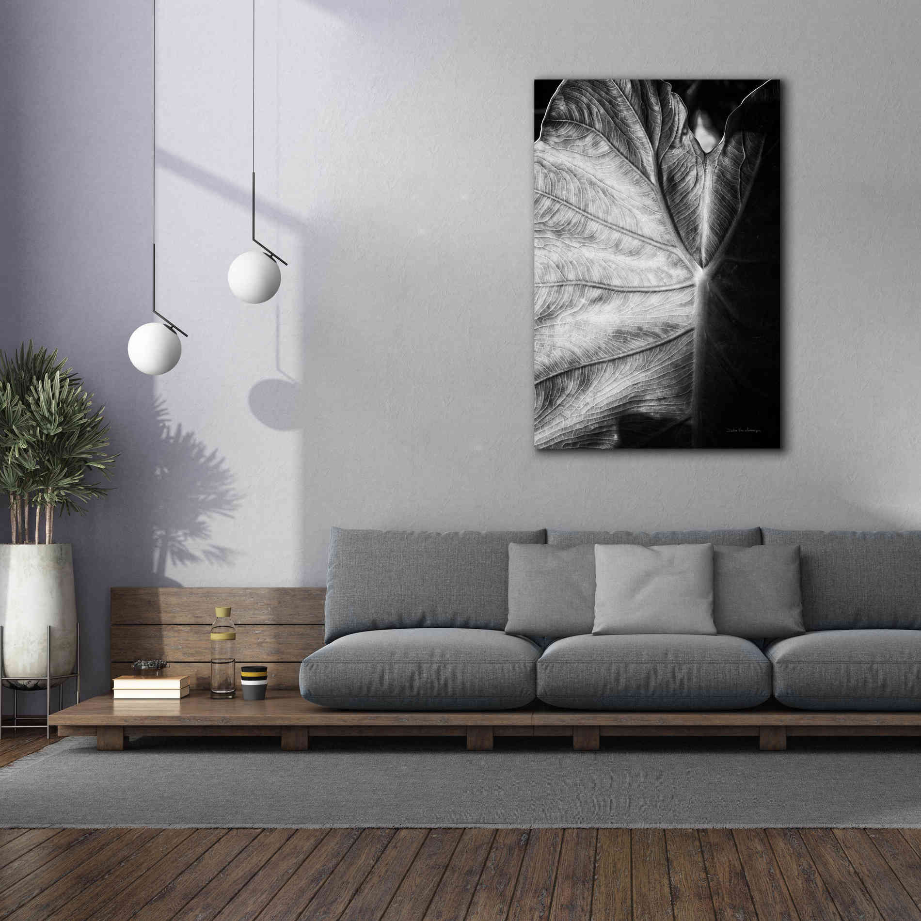'Elephant Ear I' by Debra Van Swearingen, Canvas Wall Art,40 x 60