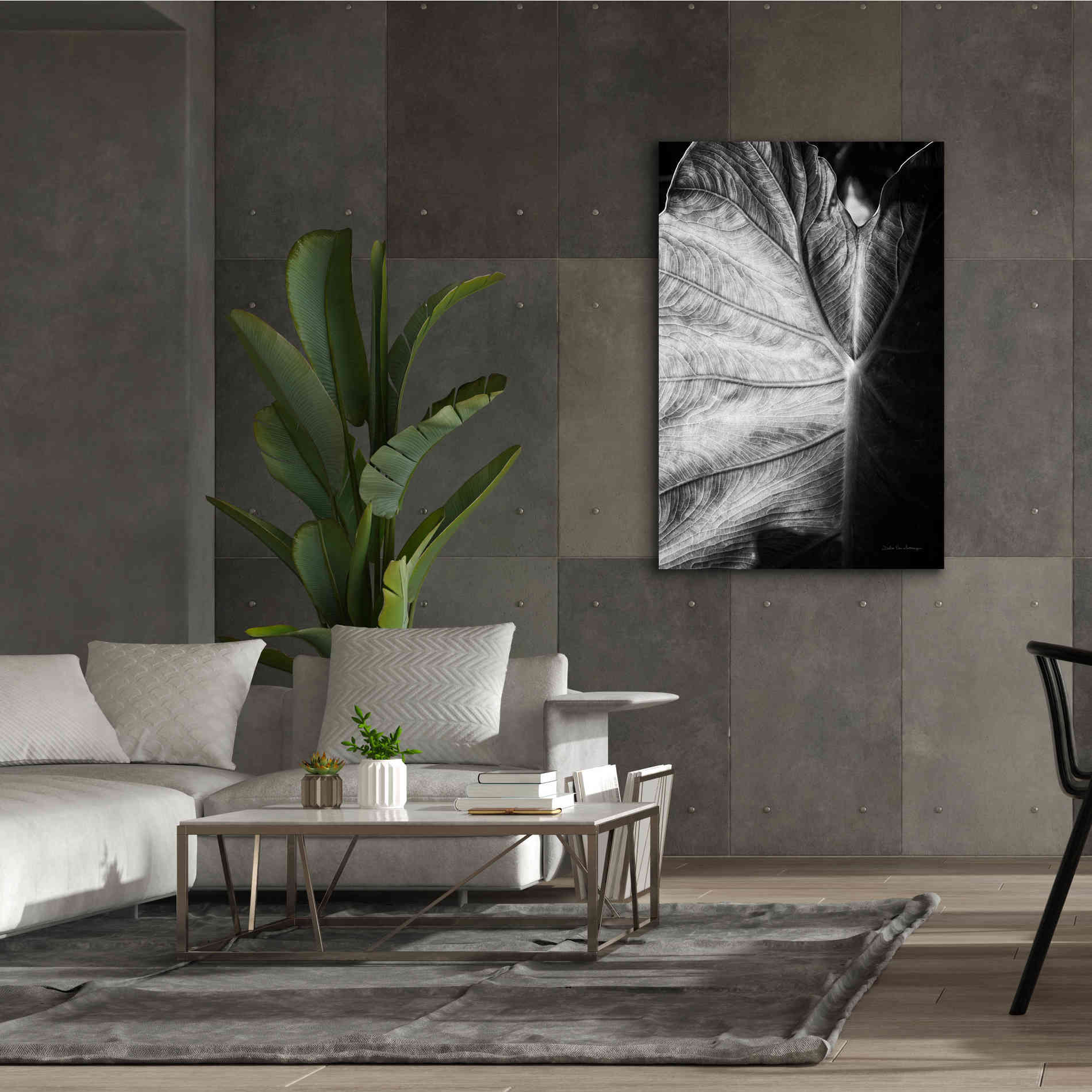 'Elephant Ear I' by Debra Van Swearingen, Canvas Wall Art,40 x 60