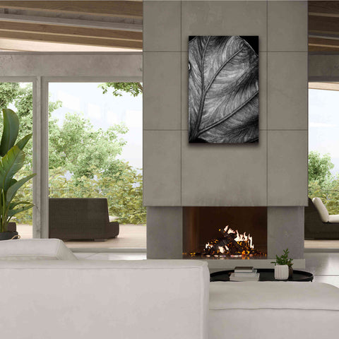 Image of 'Elephant Ear II' by Debra Van Swearingen, Canvas Wall Art,26 x 40