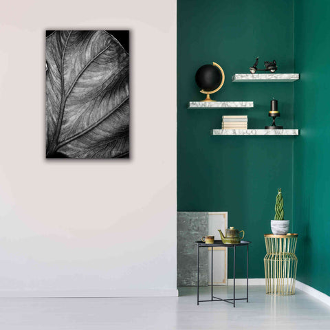 Image of 'Elephant Ear II' by Debra Van Swearingen, Canvas Wall Art,26 x 40