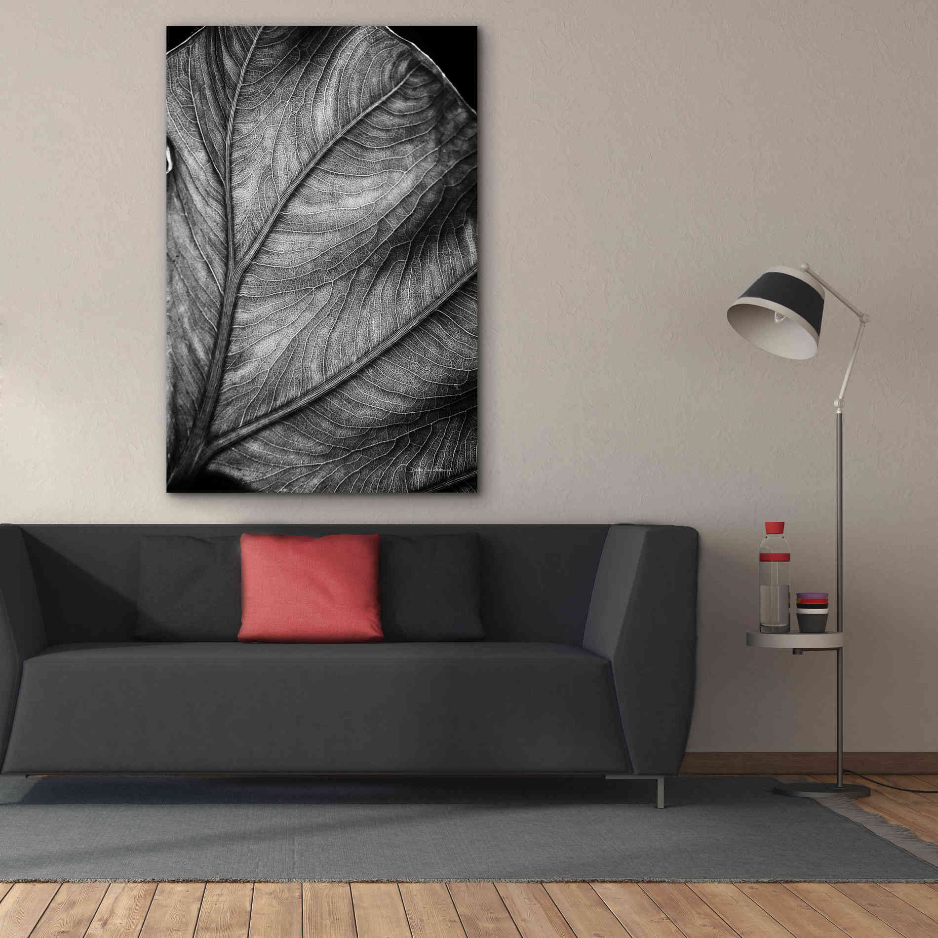 'Elephant Ear II' by Debra Van Swearingen, Canvas Wall Art,40 x 60