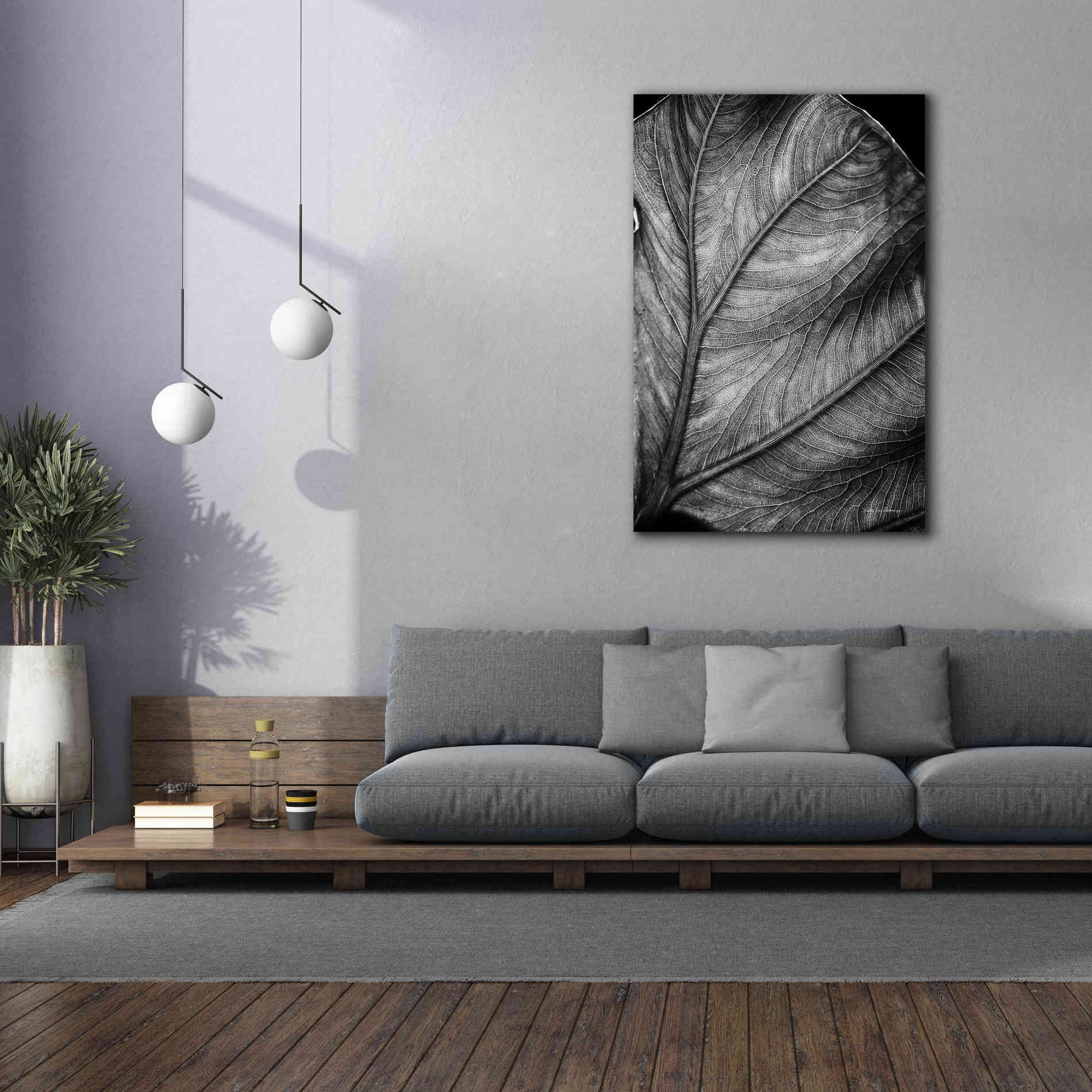 'Elephant Ear II' by Debra Van Swearingen, Canvas Wall Art,40 x 60