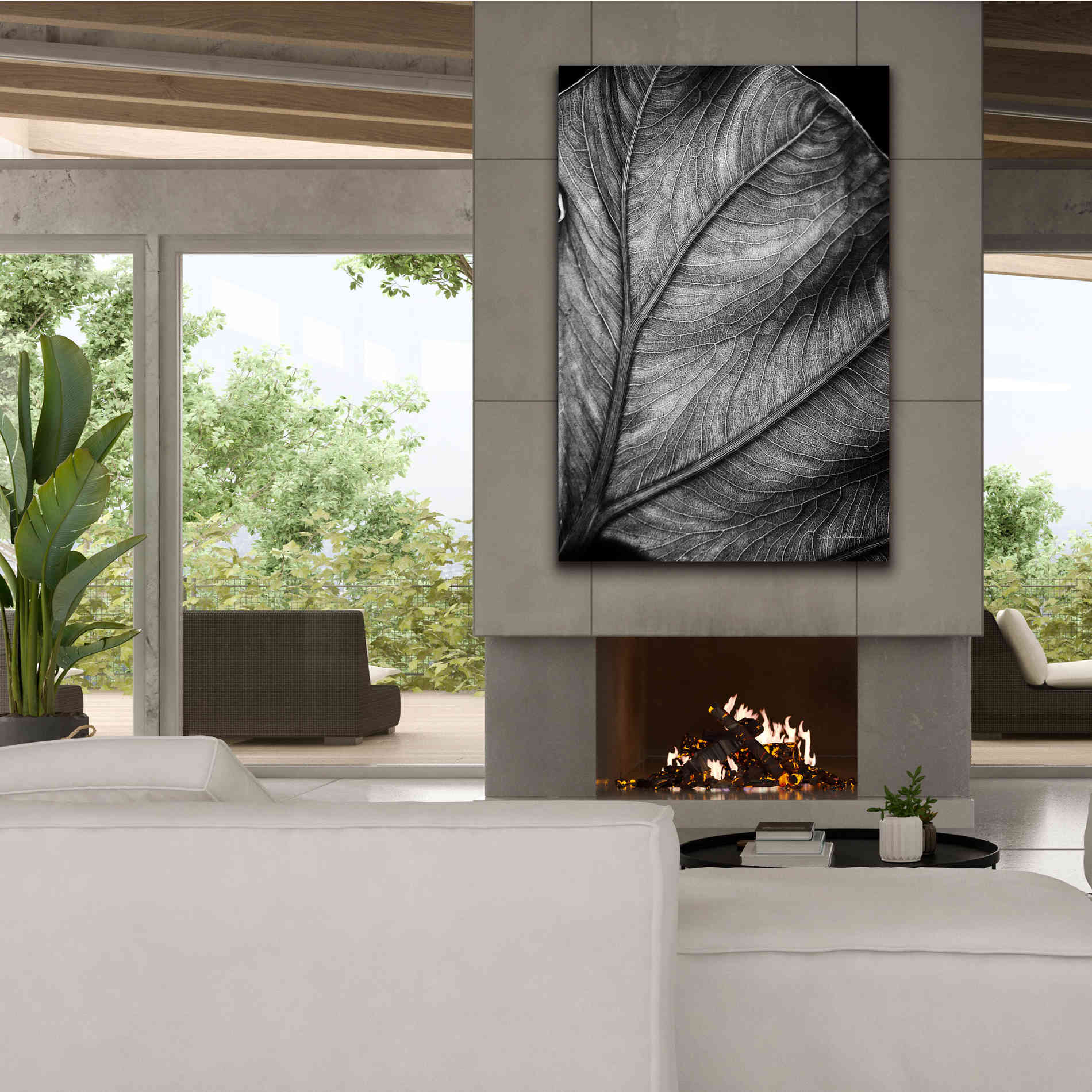 'Elephant Ear II' by Debra Van Swearingen, Canvas Wall Art,40 x 60