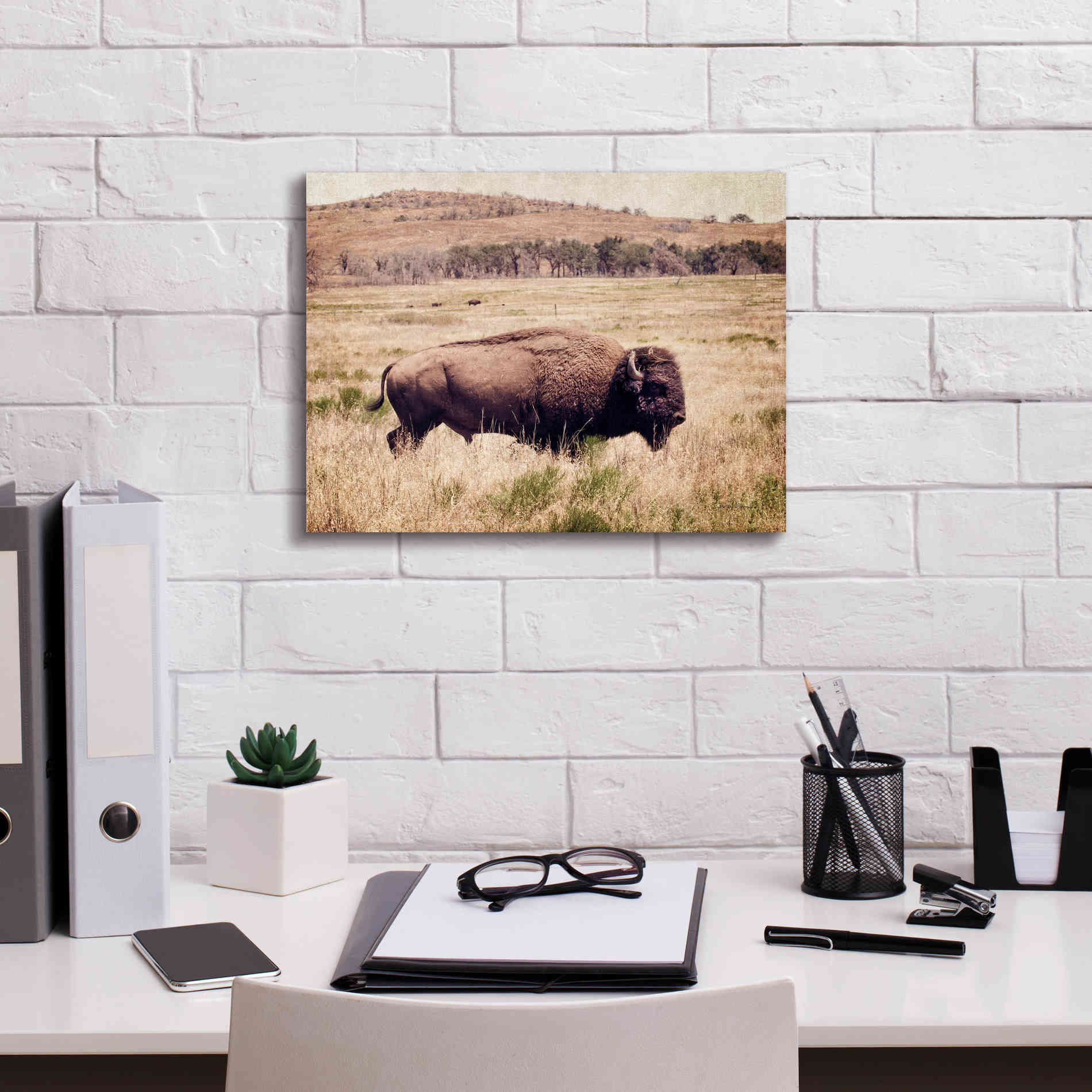 'Buffalo I' by Debra Van Swearingen, Canvas Wall Art,16 x 12