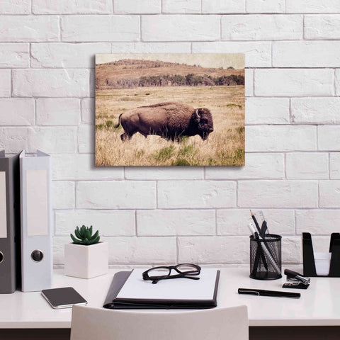 Image of 'Buffalo I' by Debra Van Swearingen, Canvas Wall Art,16 x 12