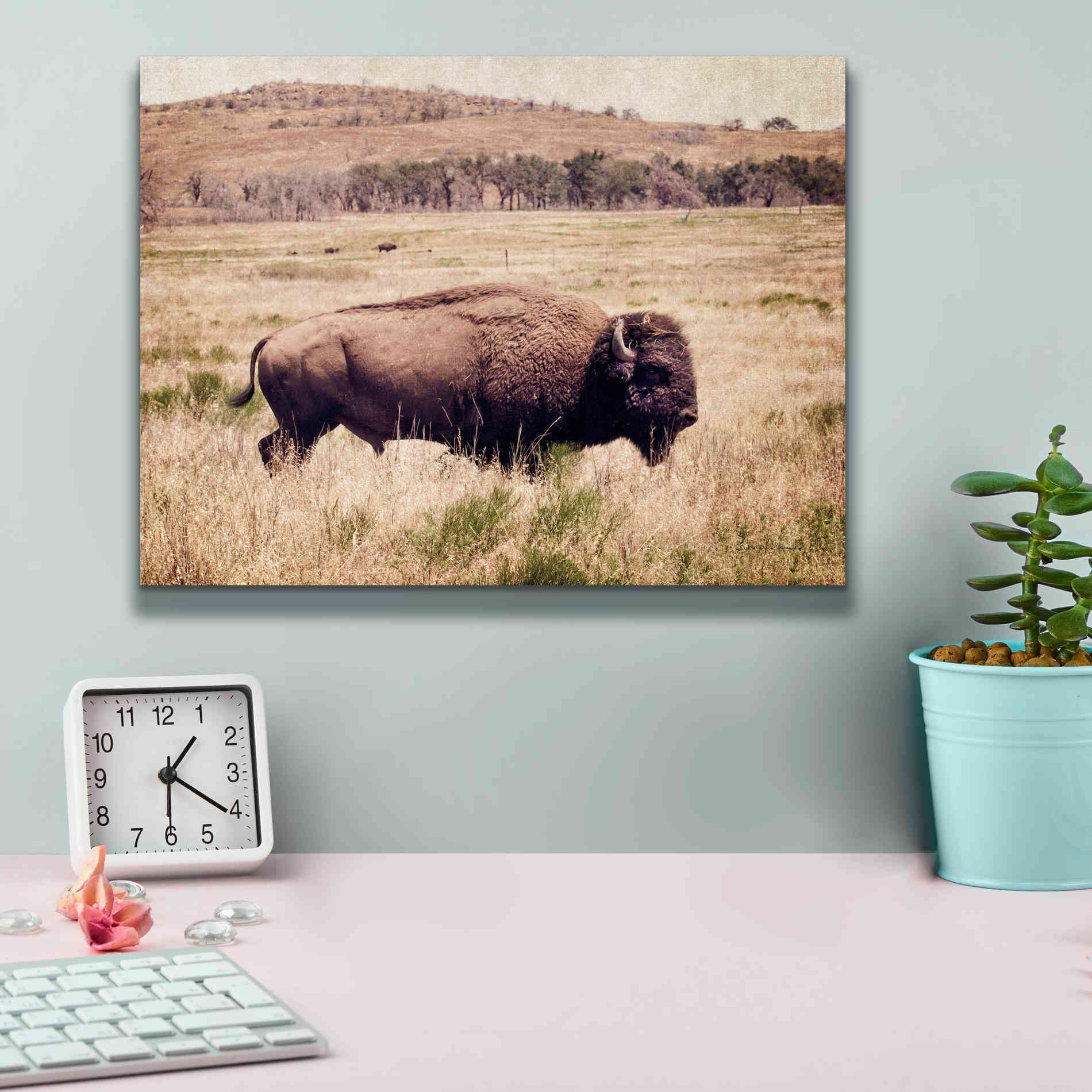'Buffalo I' by Debra Van Swearingen, Canvas Wall Art,16 x 12