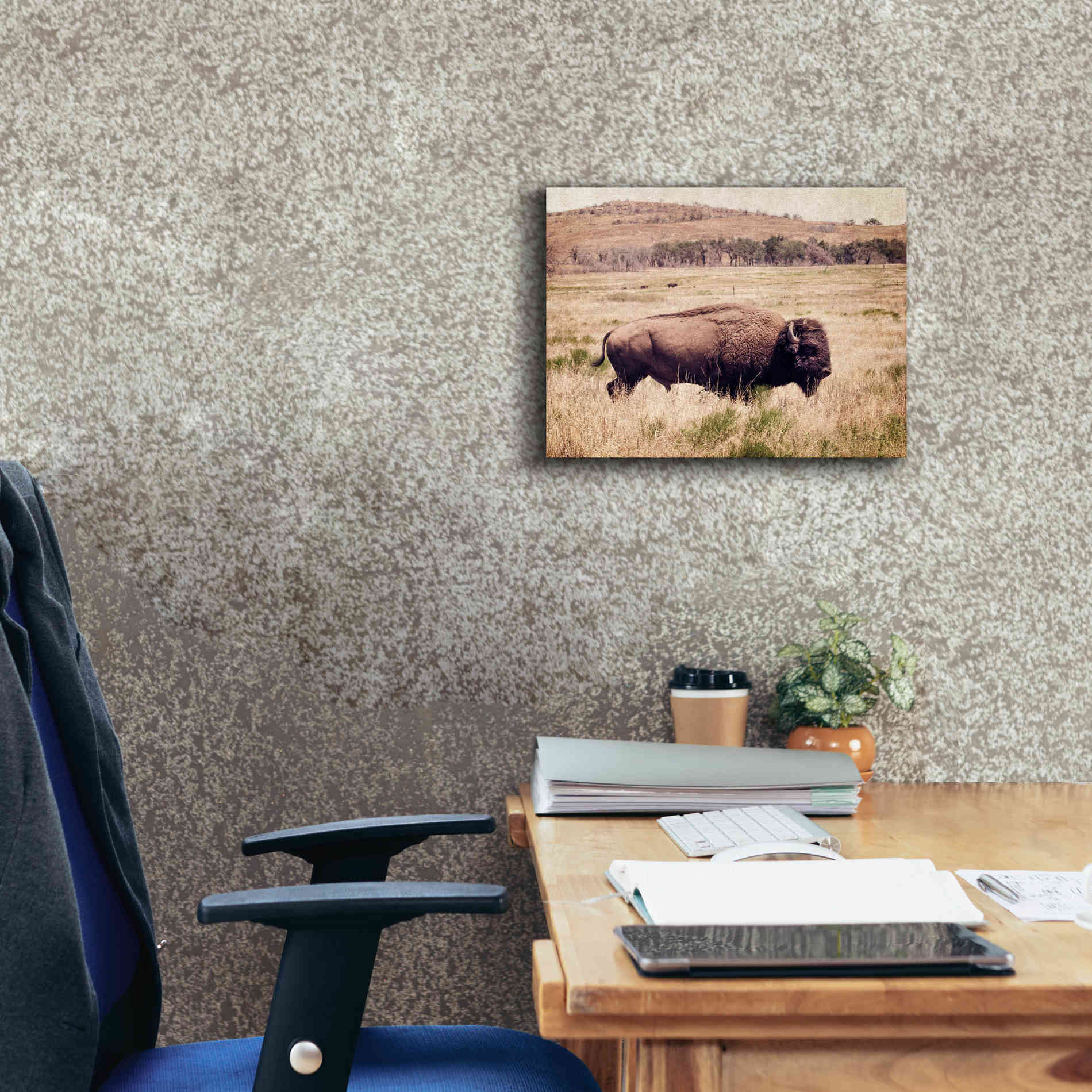 'Buffalo I' by Debra Van Swearingen, Canvas Wall Art,16 x 12