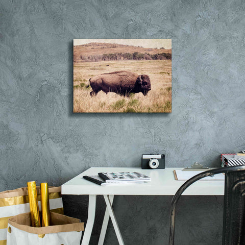Image of 'Buffalo I' by Debra Van Swearingen, Canvas Wall Art,16 x 12
