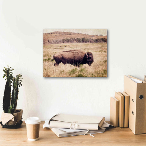 Image of 'Buffalo I' by Debra Van Swearingen, Canvas Wall Art,16 x 12