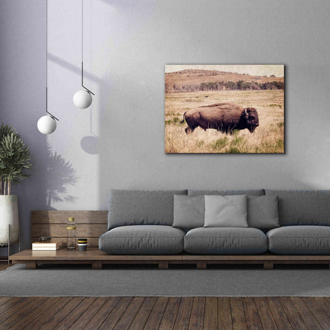 Image of 'Buffalo I' by Debra Van Swearingen, Canvas Wall Art,54 x 40