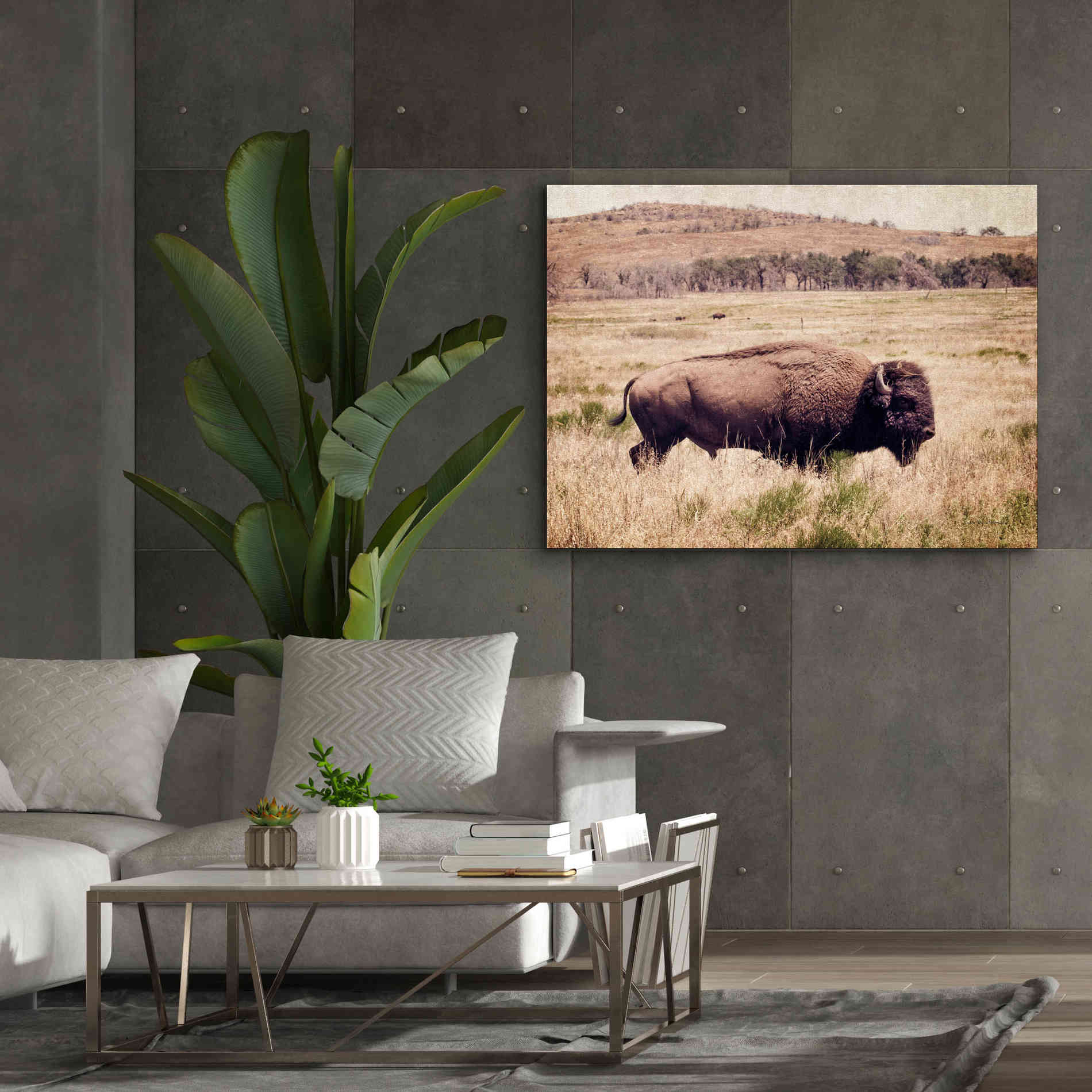 'Buffalo I' by Debra Van Swearingen, Canvas Wall Art,54 x 40