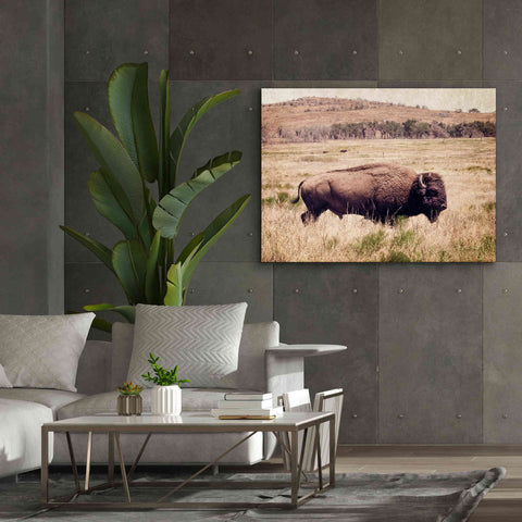 Image of 'Buffalo I' by Debra Van Swearingen, Canvas Wall Art,54 x 40