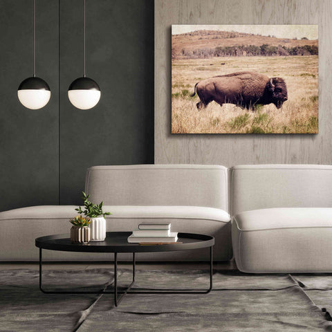 Image of 'Buffalo I' by Debra Van Swearingen, Canvas Wall Art,54 x 40