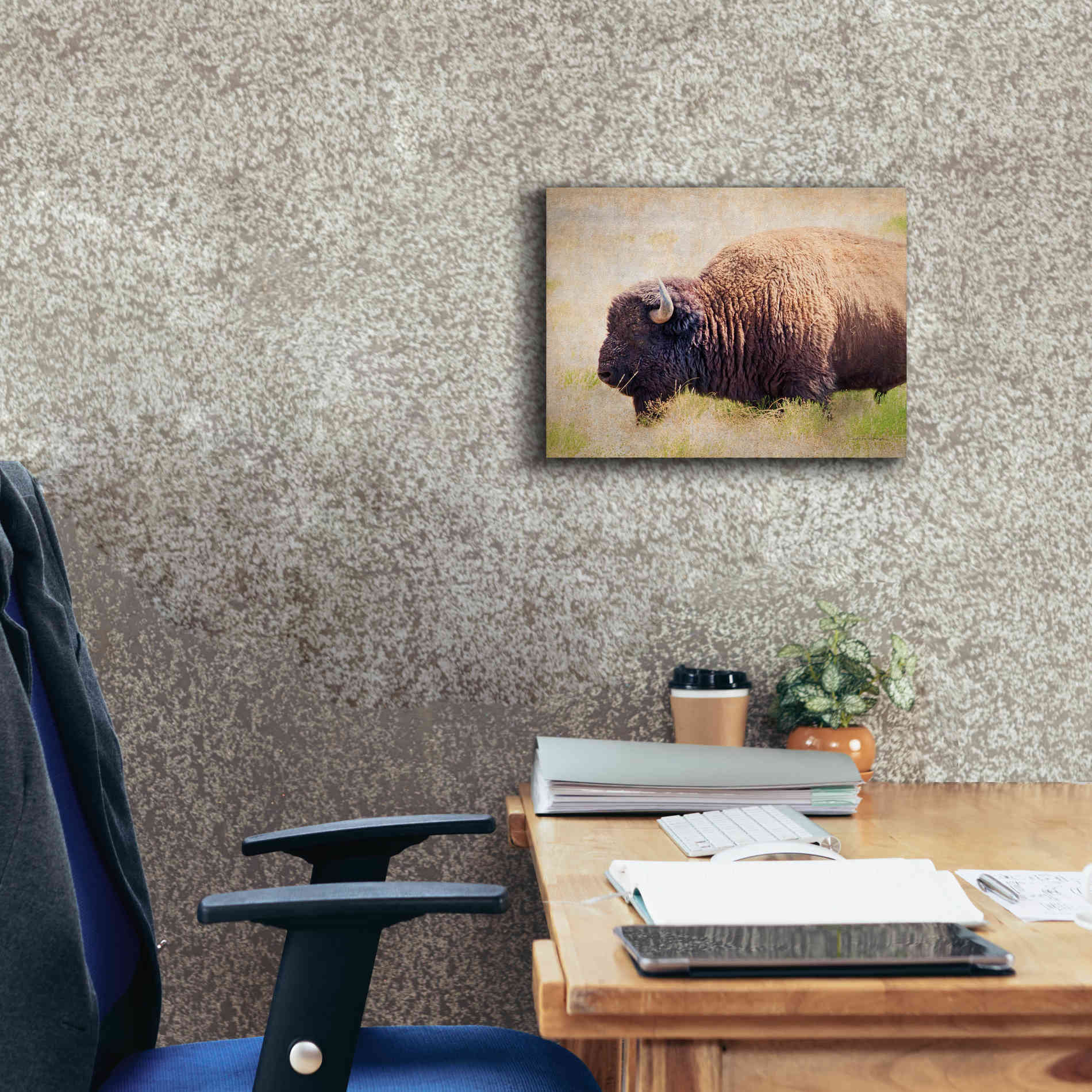 'Buffalo II' by Debra Van Swearingen, Canvas Wall Art,16 x 12