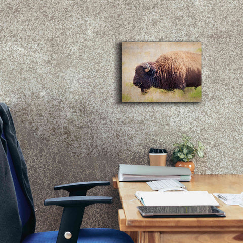 Image of 'Buffalo II' by Debra Van Swearingen, Canvas Wall Art,16 x 12