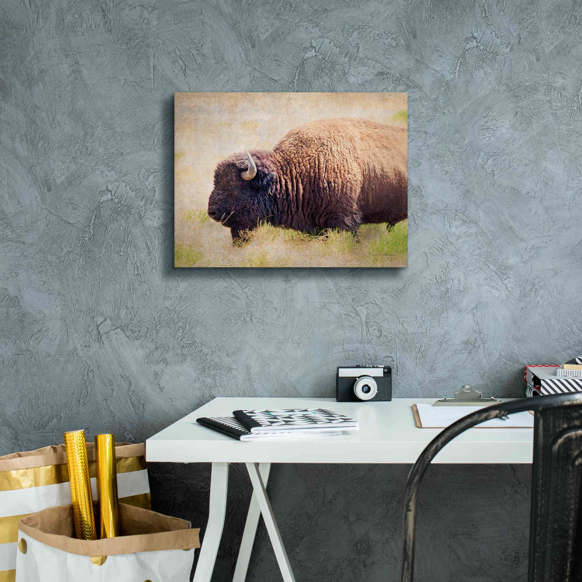 'Buffalo II' by Debra Van Swearingen, Canvas Wall Art,16 x 12