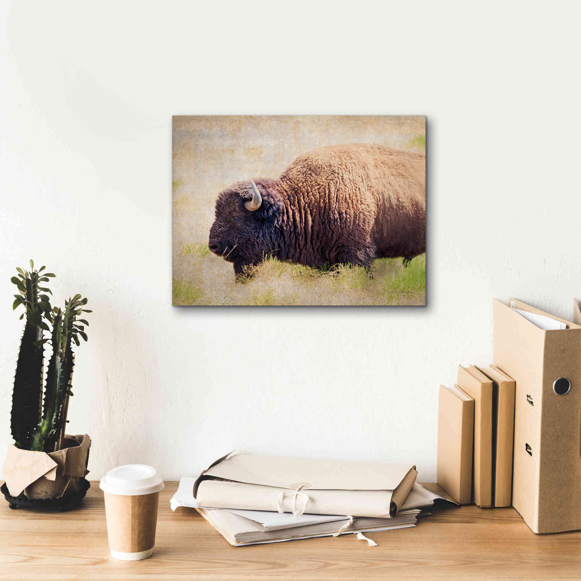 'Buffalo II' by Debra Van Swearingen, Canvas Wall Art,16 x 12