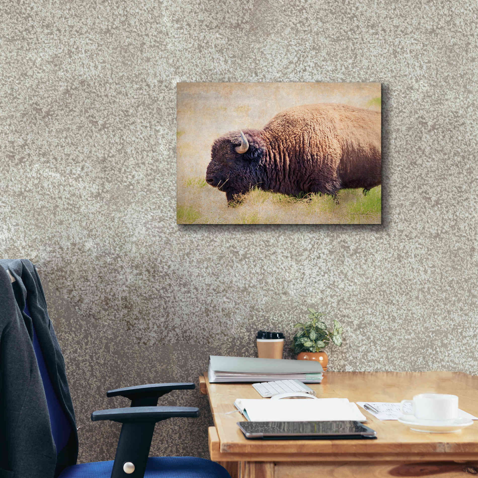 'Buffalo II' by Debra Van Swearingen, Canvas Wall Art,24 x 20