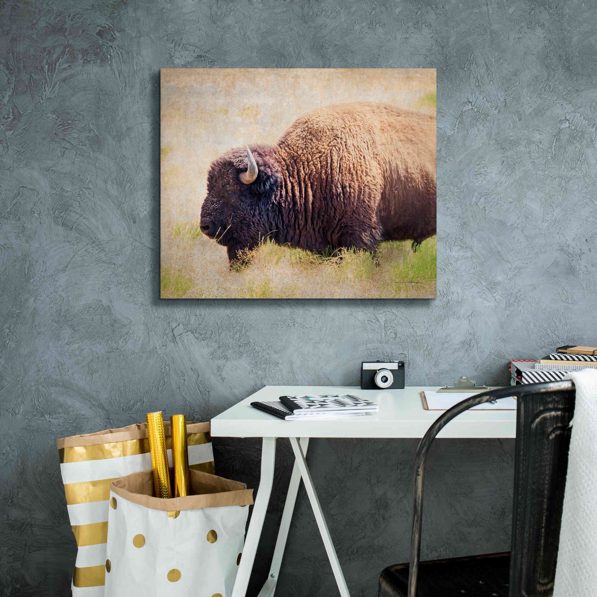 'Buffalo II' by Debra Van Swearingen, Canvas Wall Art,24 x 20