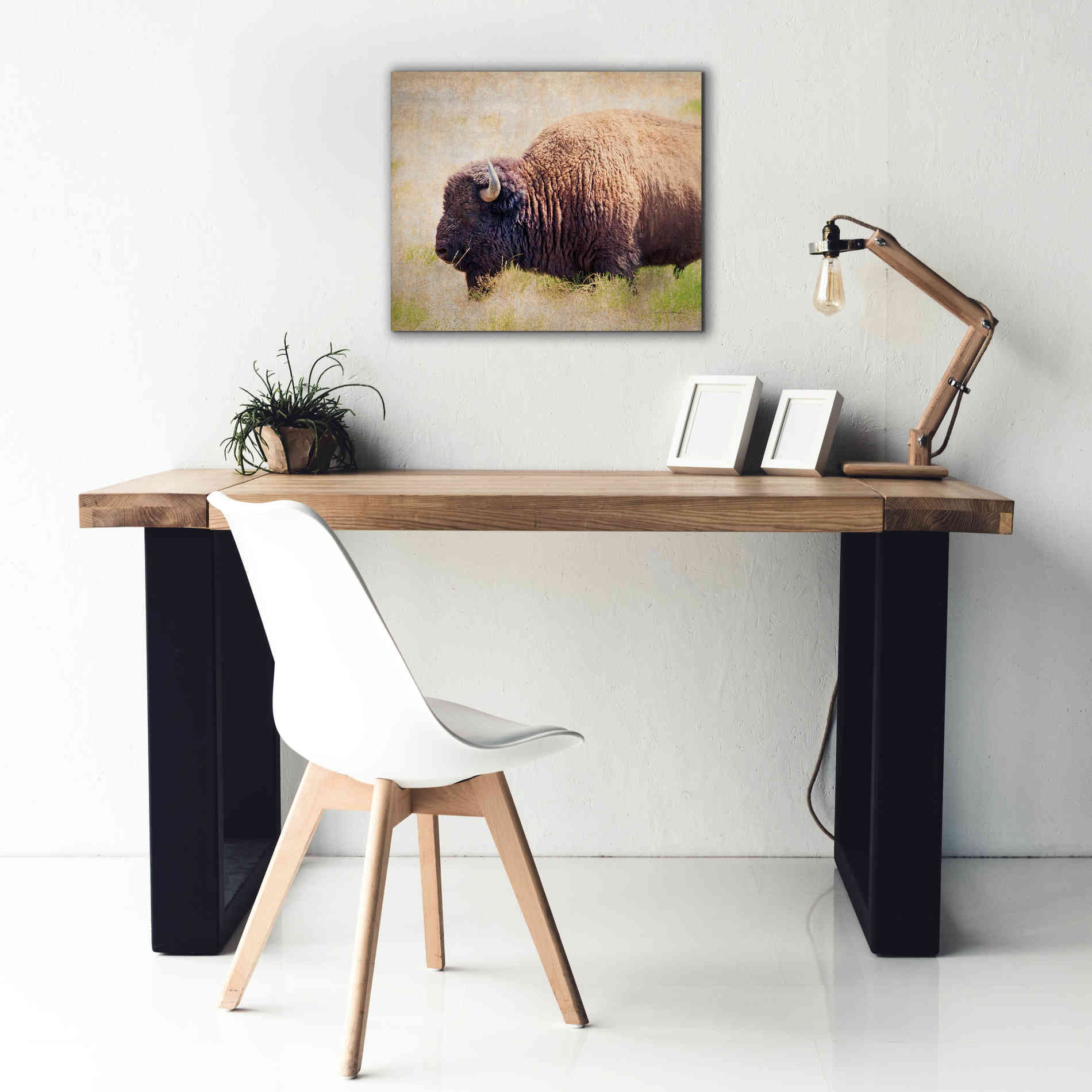 'Buffalo II' by Debra Van Swearingen, Canvas Wall Art,24 x 20