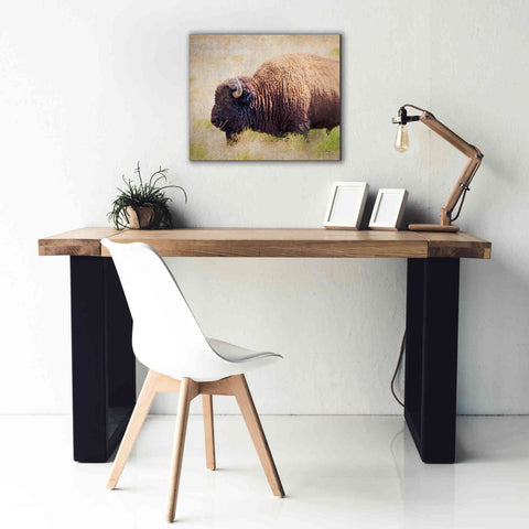 Image of 'Buffalo II' by Debra Van Swearingen, Canvas Wall Art,24 x 20