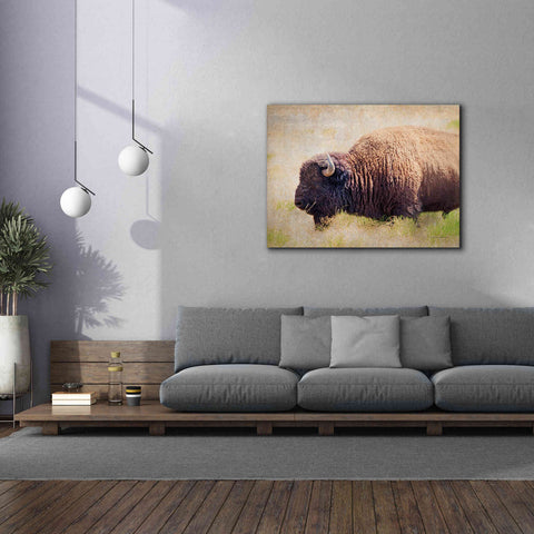Image of 'Buffalo II' by Debra Van Swearingen, Canvas Wall Art,54 x 40
