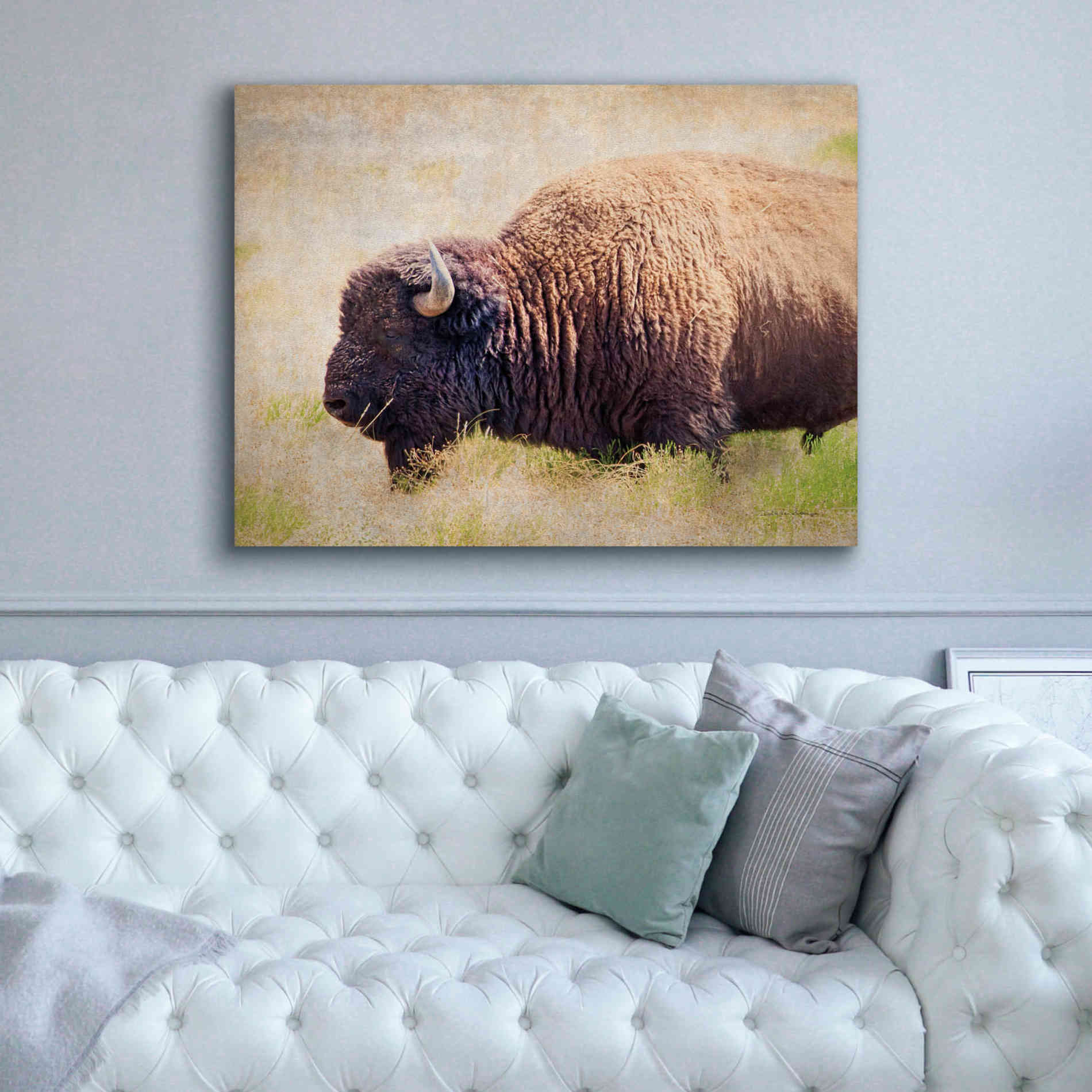 'Buffalo II' by Debra Van Swearingen, Canvas Wall Art,54 x 40